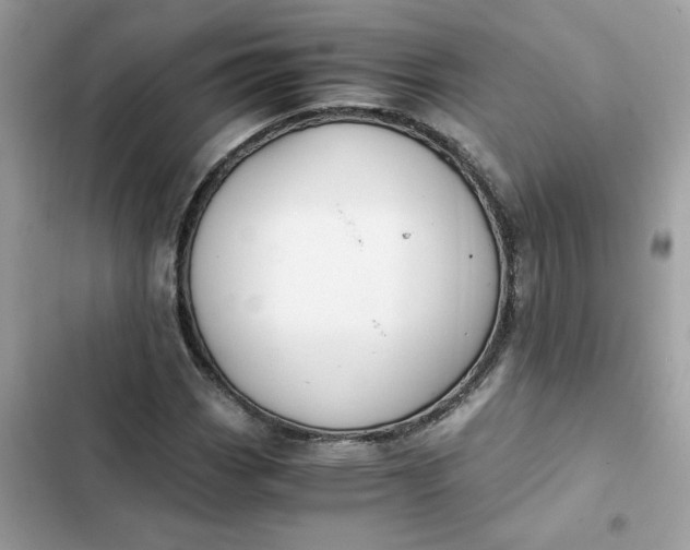 X0000102371113200808151829