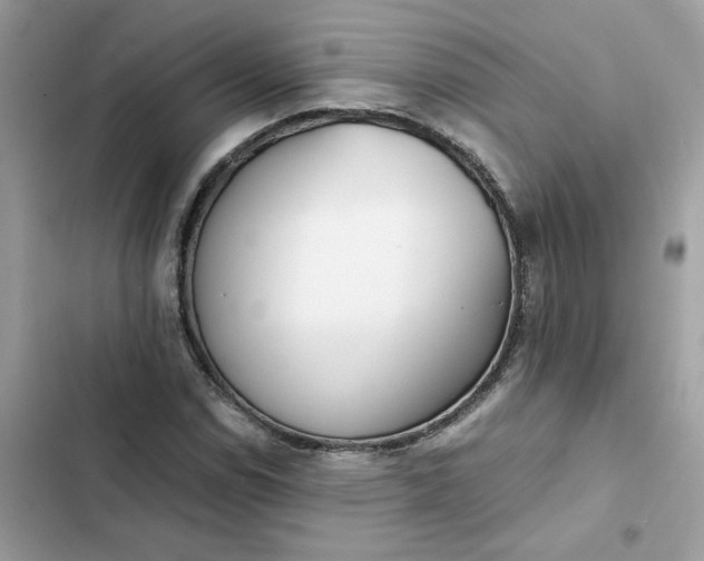 X0000102371114200808151829