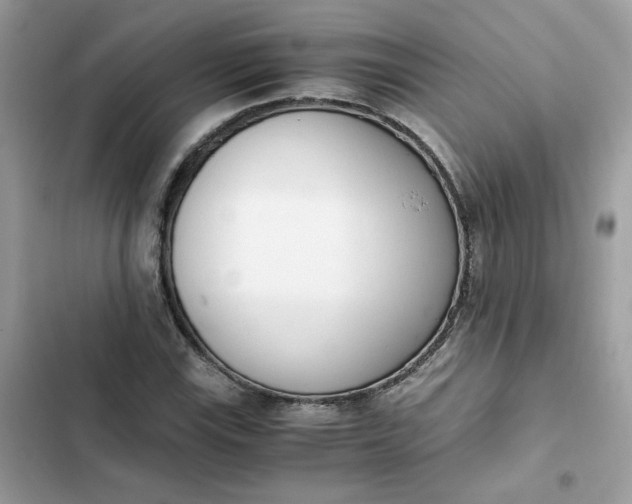 X0000102371115200808151829