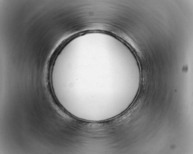 X0000102371116200808151829