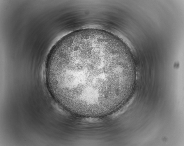 X0000102371117200808151829