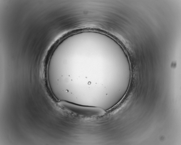 X0000102371118200808151829