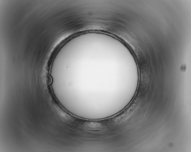 X0000102371119200808151829