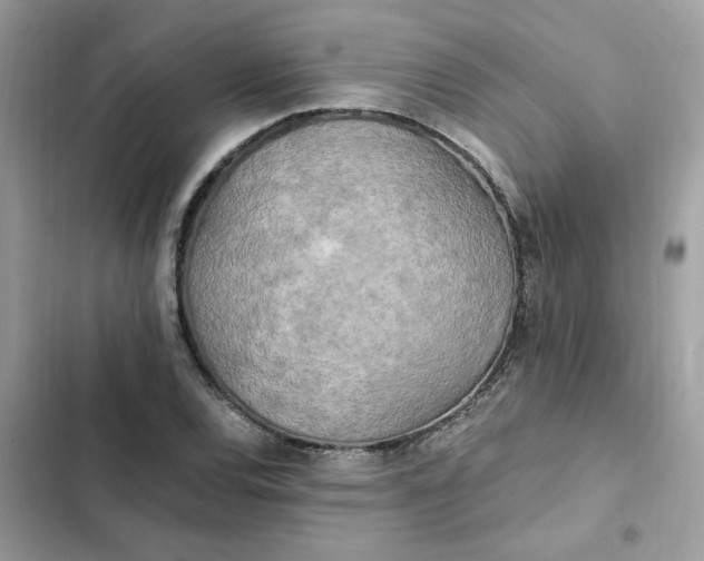 X0000102371120200808151829