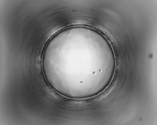 X0000102371121200808151829