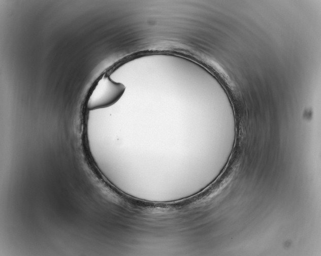 X0000102371122200808151829