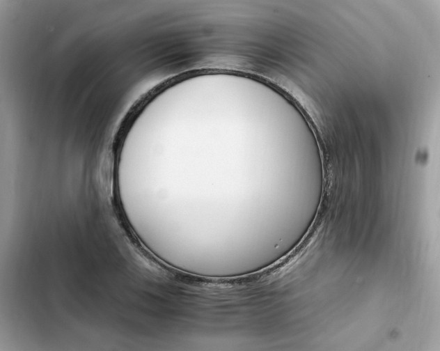 X0000102371123200808151829