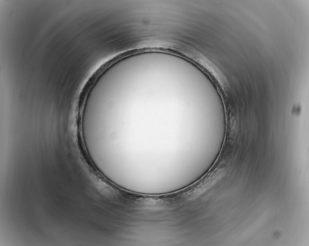 X0000102371124200808151829