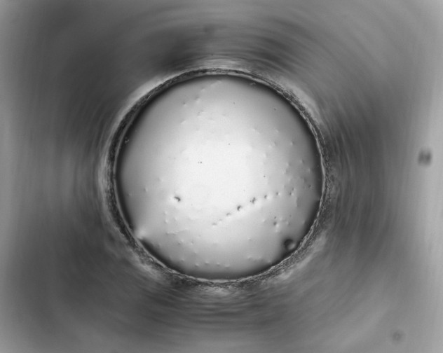 X0000102371125200808151829