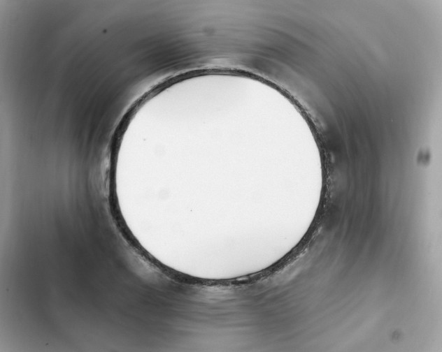 X0000102371126200808151829