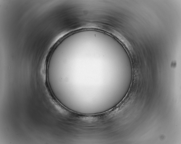 X0000102371127200808151829