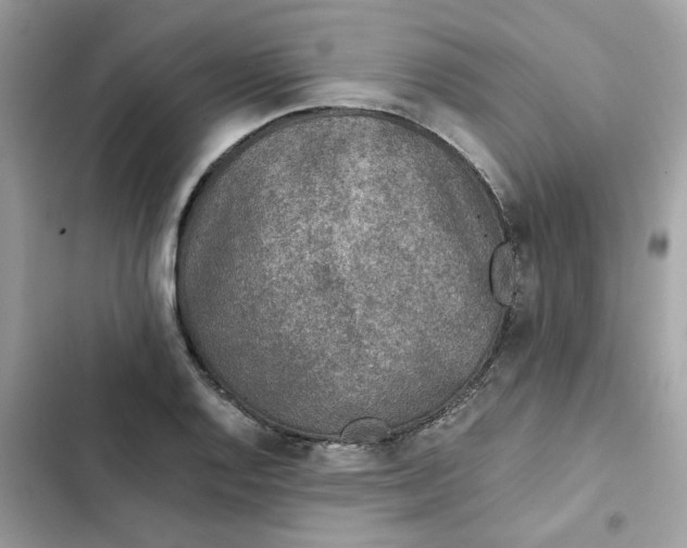 X0000102371128200808151829