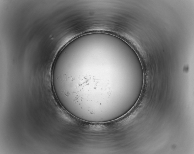 X0000102371129200808151829