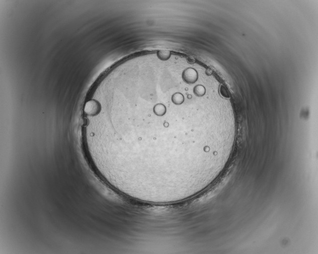 X0000102371130200808151829