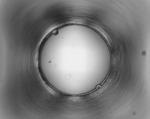 X0000102371131200808151829