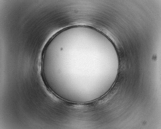 X0000102371132200808151829