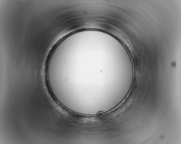 X0000102371133200808151829