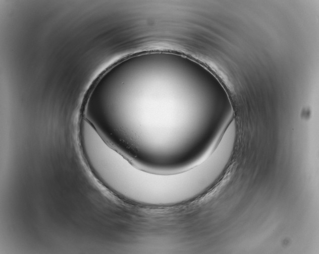 X0000102371134200808151829