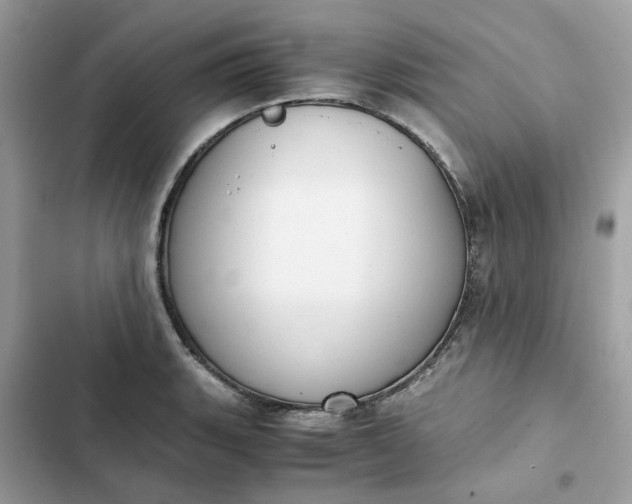 X0000102371135200808151829