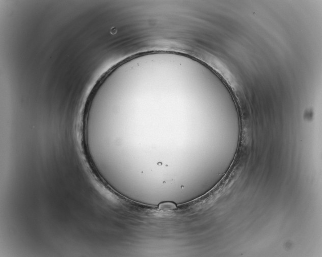 X0000102371136200808151829