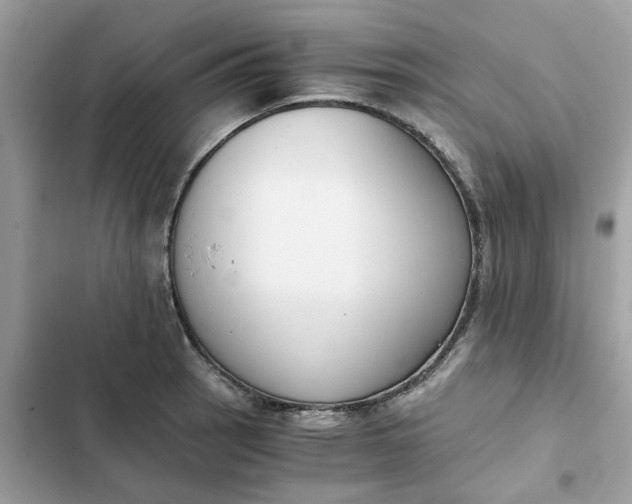 X0000102371137200808151829