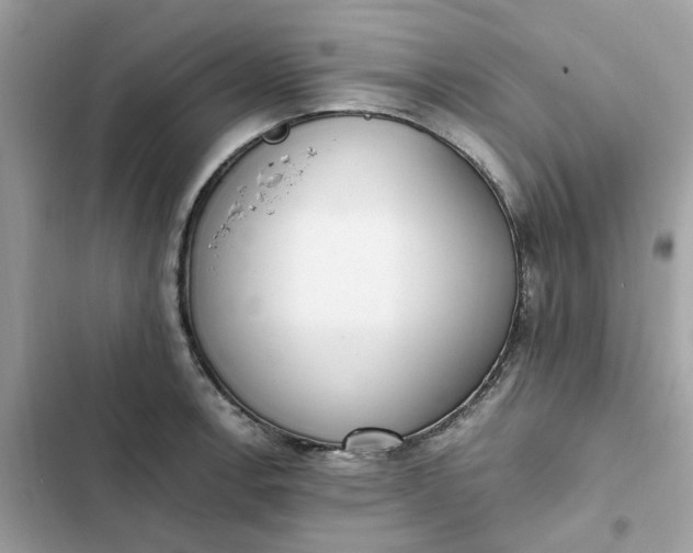 X0000102371138200808151829