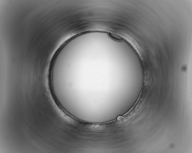 X0000102371139200808151829