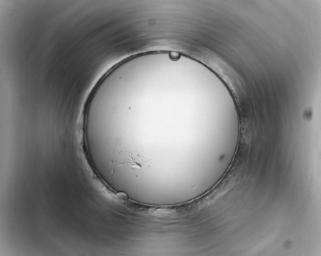 X0000102371140200808151829