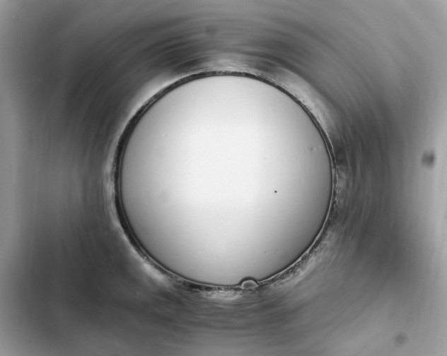 X0000102371141200808151829