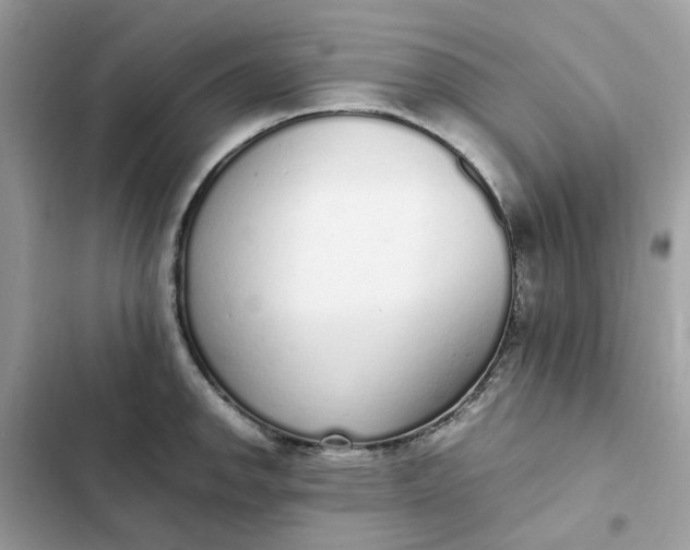 X0000102371142200808151829