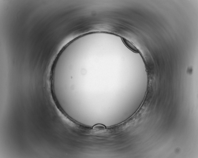 X0000102371143200808151829