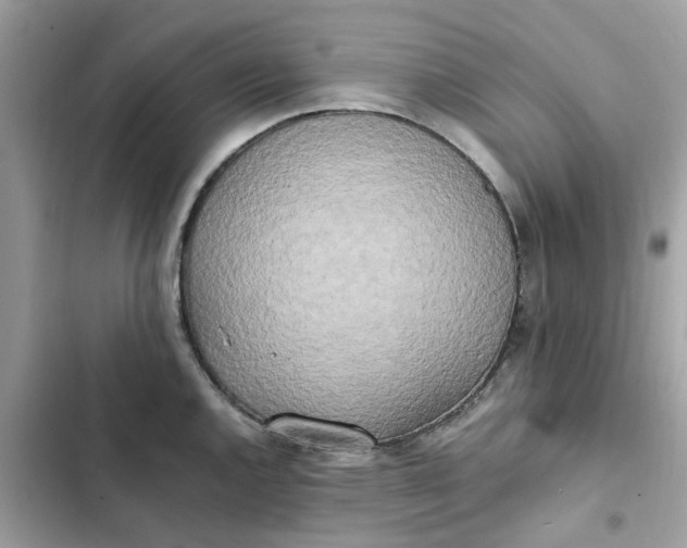 X0000102371144200808151829