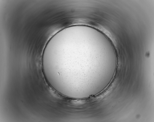 X0000102371145200808151829