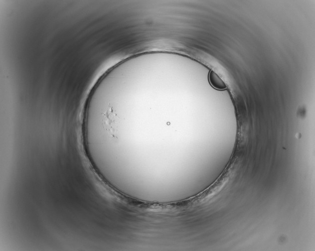 X0000102371146200808151829