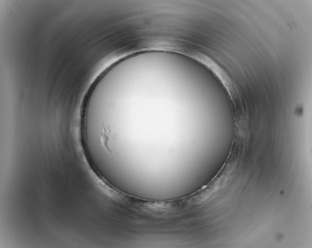 X0000102371147200808151829