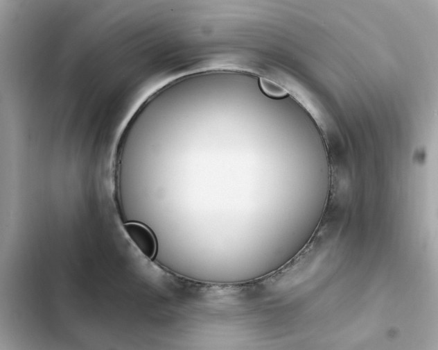 X0000102371148200808151829