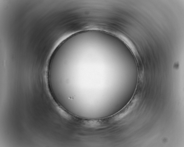 X0000102371149200808151829