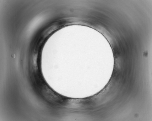 X0000102371150200808151829