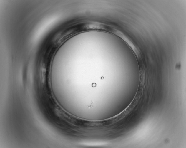 X0000102371151200808151829