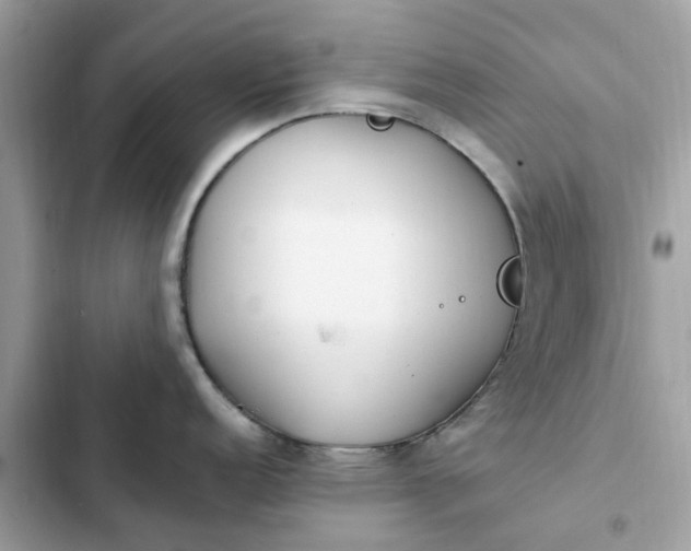 X0000102371152200808151829