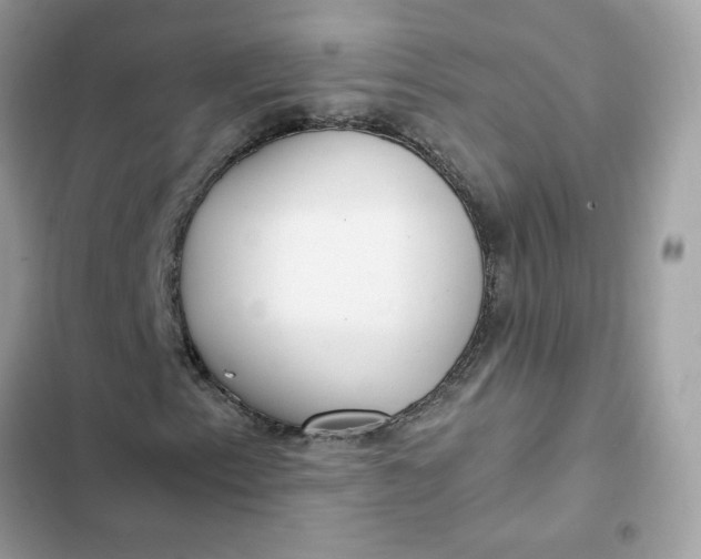 X0000102371153200808151828