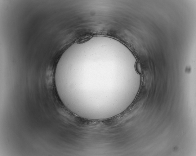 X0000102371154200808151828