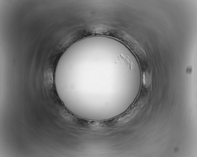 X0000102371155200808151828