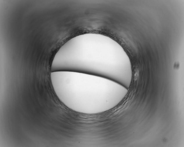 X0000102371156200808151828