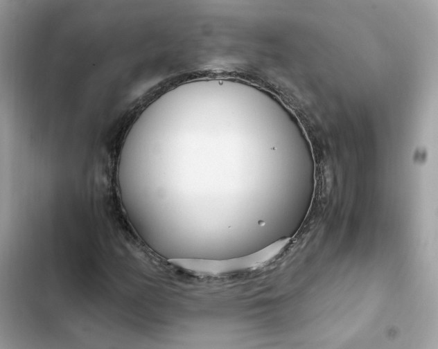 X0000102371158200808151828