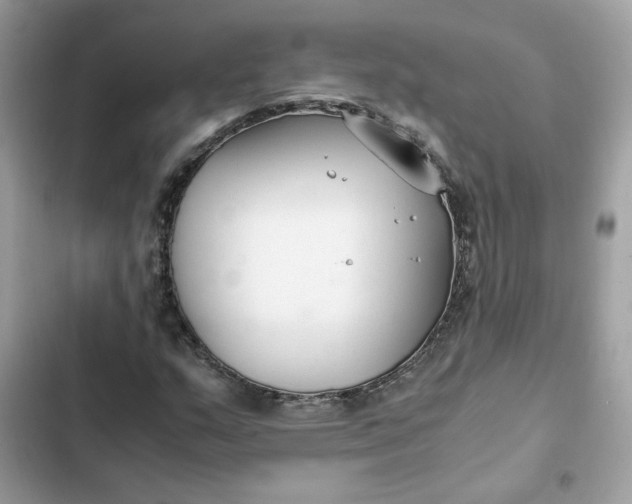 X0000102371159200808151828