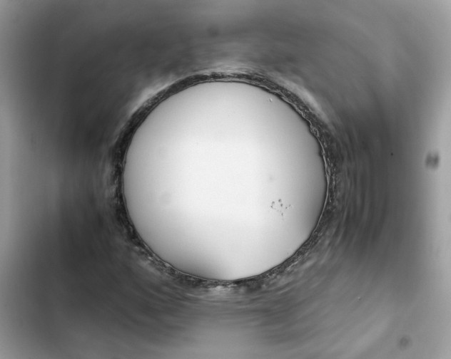 X0000102371160200808151828