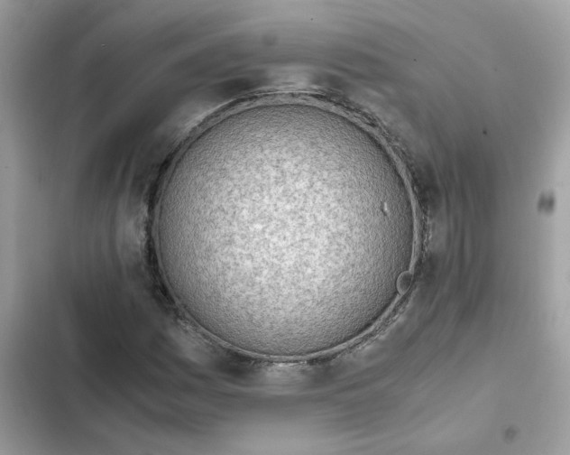 X0000102371161200808151828