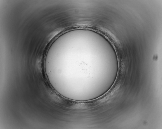 X0000102371162200808151828