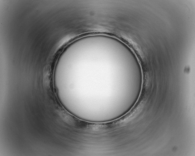 X0000102371163200808151828